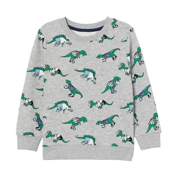 Jongens sweatshirt L577 12-24 maanden C