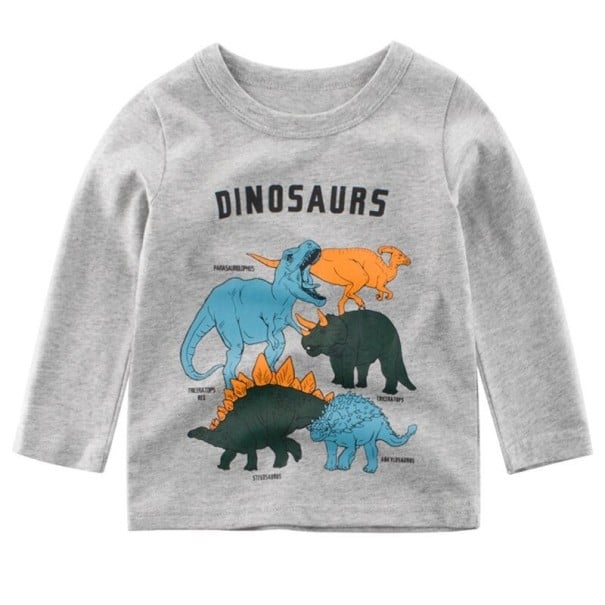 Jongens T-shirt met lange mouwen B1522 4 G