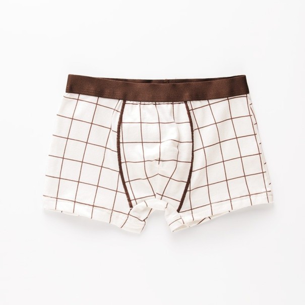 Jongensboxershorts met dinosaurussen bruin 4