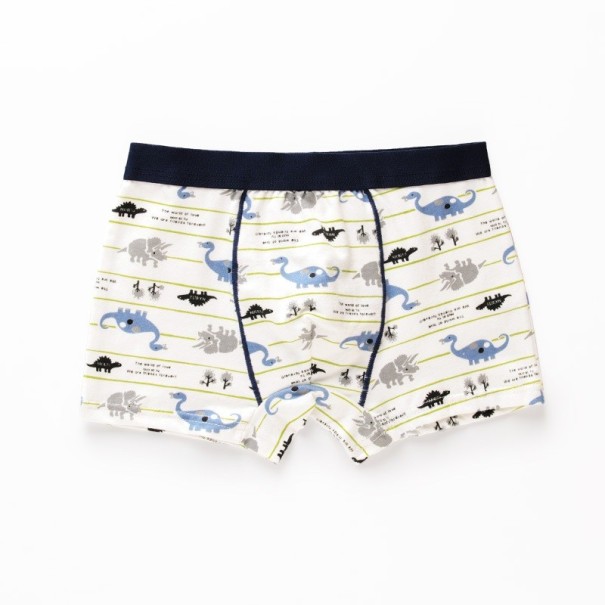 Jongensboxershorts met dinosaurussen zwart 6