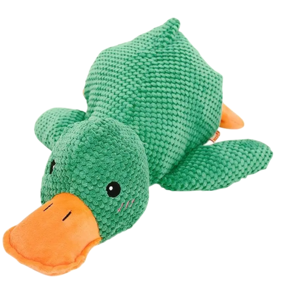 Jouet en peluche qui couine pour chiens et chats en forme de canard Jouet à mâcher résistant pour grands chiens Amusement et entraînement vert