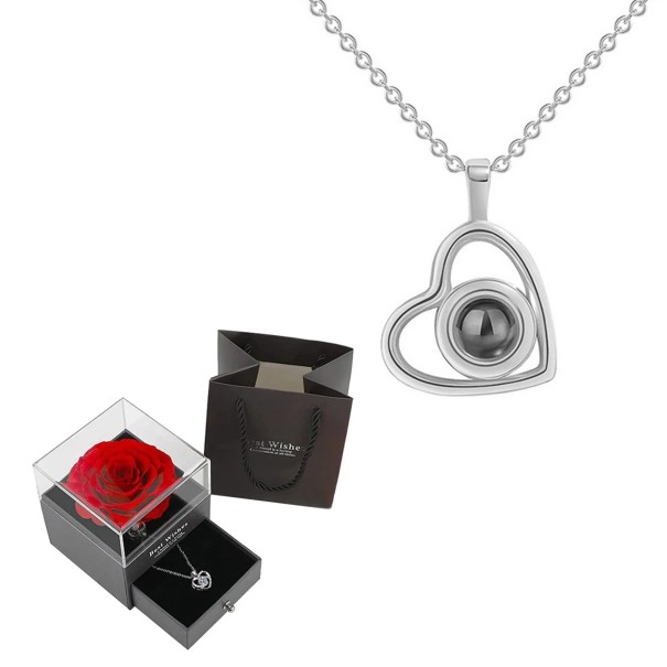 Juego de collar con proyección de corazón Te amo en 100 idiomas Cadena de titanio Colgante de cobre Caja de rosas Regalo romántico plateado
