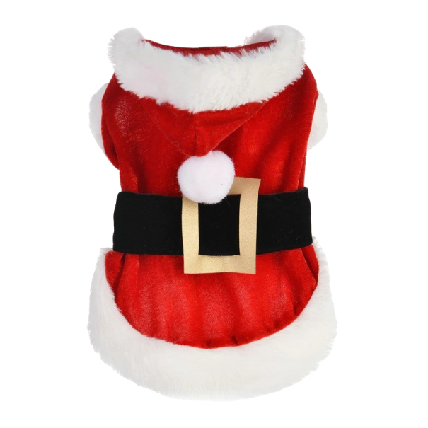 Julkläder för hundar
