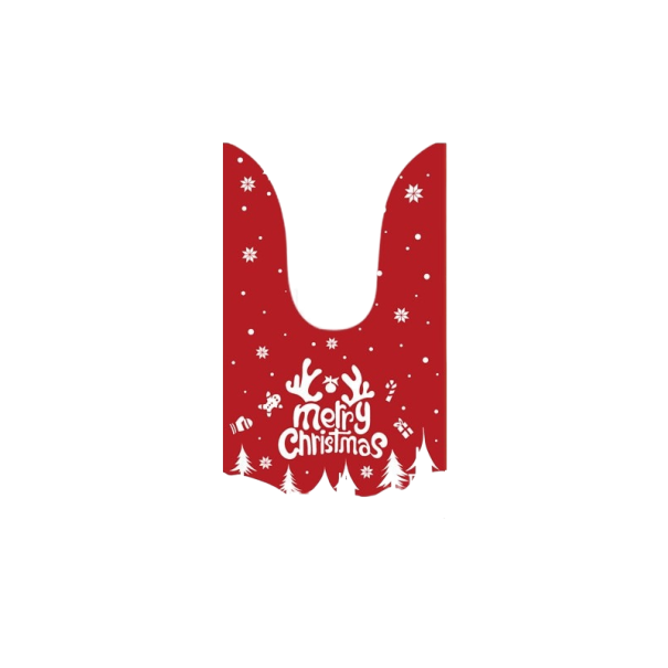 Julklappspåse 23 x 14 cm 10 st 4