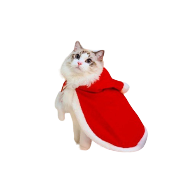 Juloutfit för ditt husdjur Halloween outfit för katter och hundar Söt outfit för ditt husdjur Kostym för katter och hundar