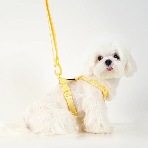 Justerbart hundesele med snor i længden 85-145 cm Omkreds af halsen 38-58 cm og omkreds af kroppen 36-50 cm Remme med justerbare spænder 1