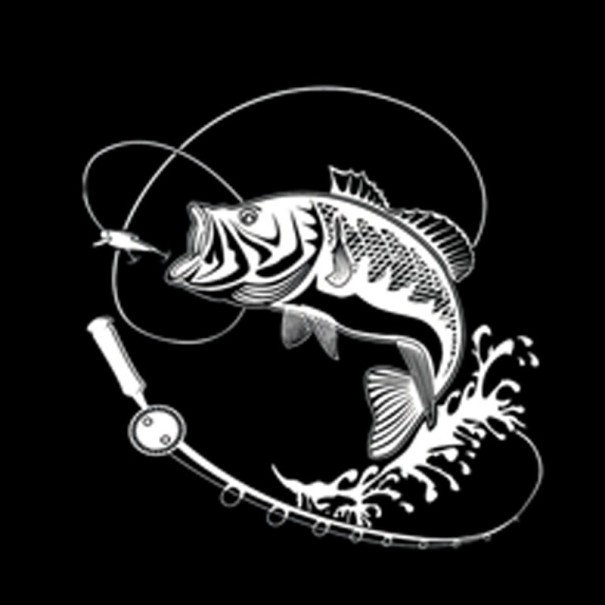Kala-autotarra valkoinen