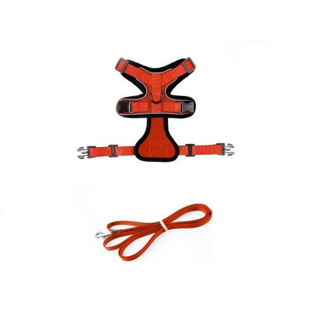 Kattenharnas oranje XS