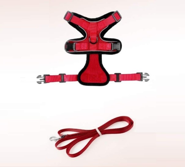 Kattenharnas rood XS