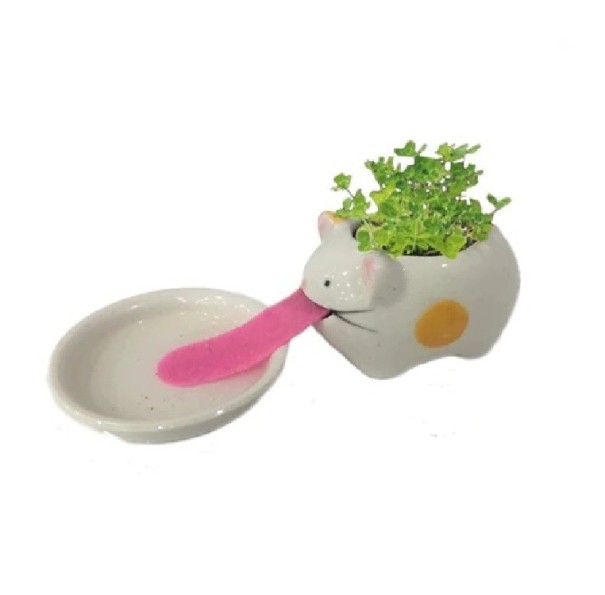 Keramische bloempot met kom 2