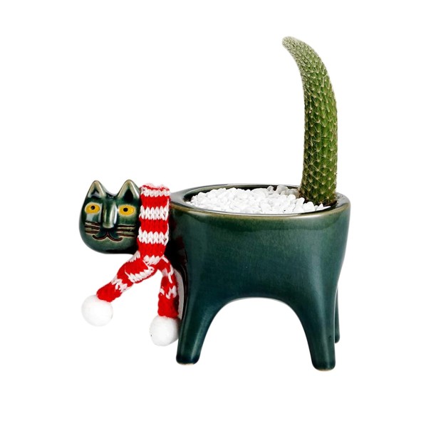 Keramische kattenbloempot 2