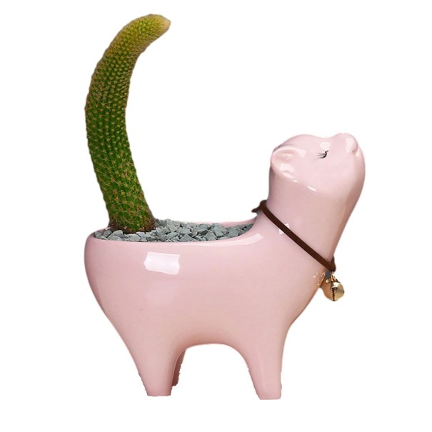 Keramische kattenbloempot 3