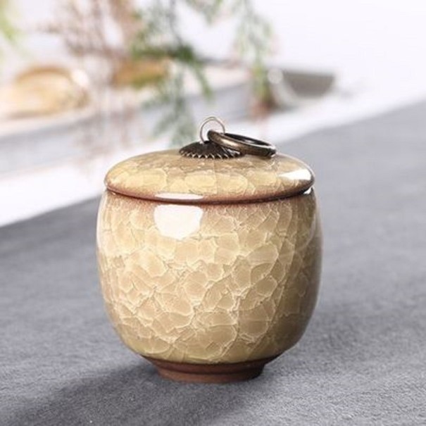 Keramische theebus beige 2