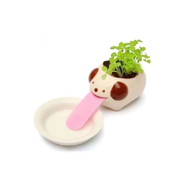 Keramisk blomkruka med skål 4