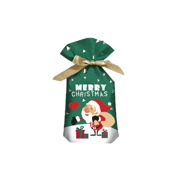 Kerstcadeautas 12 x 17,7 cm 10 stuks