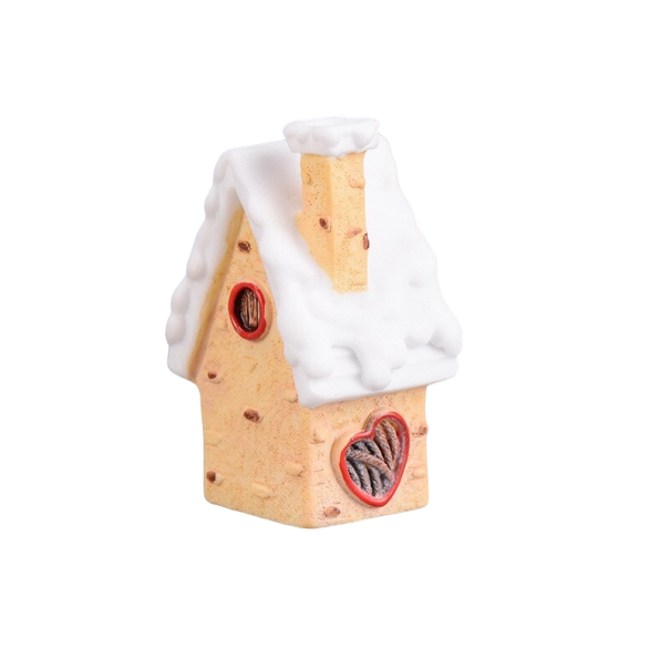 Kersthuis abrikoos