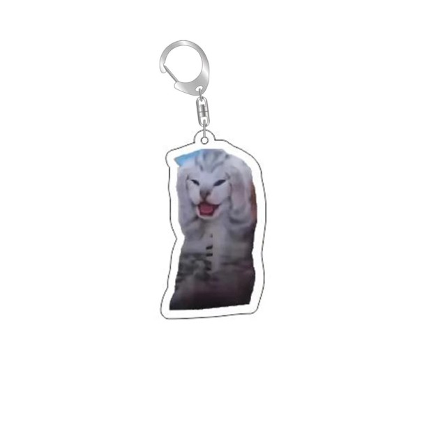 Keyring 55 mm Resin Funny Meme Cat Keychain Backpack Handbag Key Decoration Stylish Gift for Cat Lovers 1