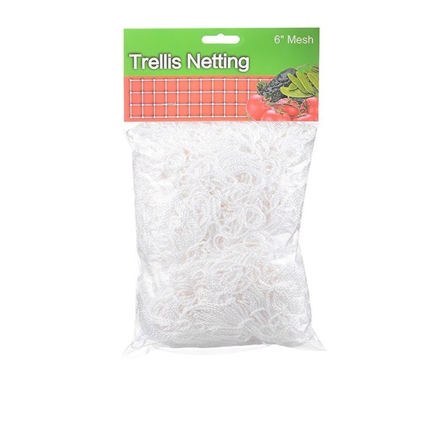 Kiipeilykasvin verkko L