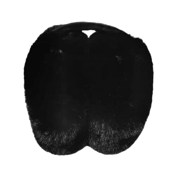 Klapets d'oreilles pour femmes noir