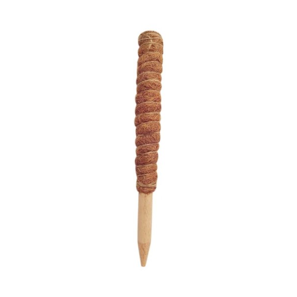 Kokosnødstøttestang til planter 30 cm
