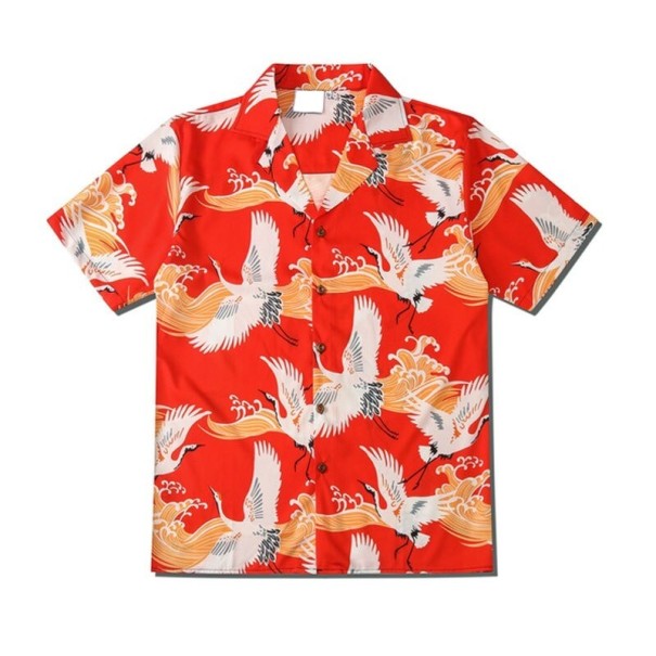Koszula męska z krótkim rękawem F542 XL 4