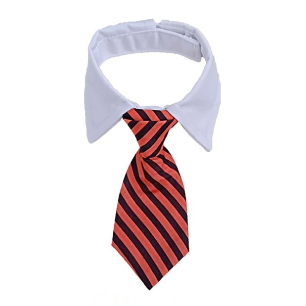 Krave med slips S 12