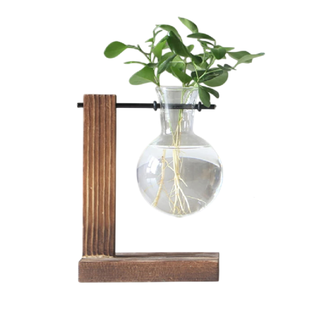 Kreativ vas för bord med träbas 13,5 x 10 cm Glaskupa i form av en glödlampa Hydroponisk odling Vintage DIY dekoration 1