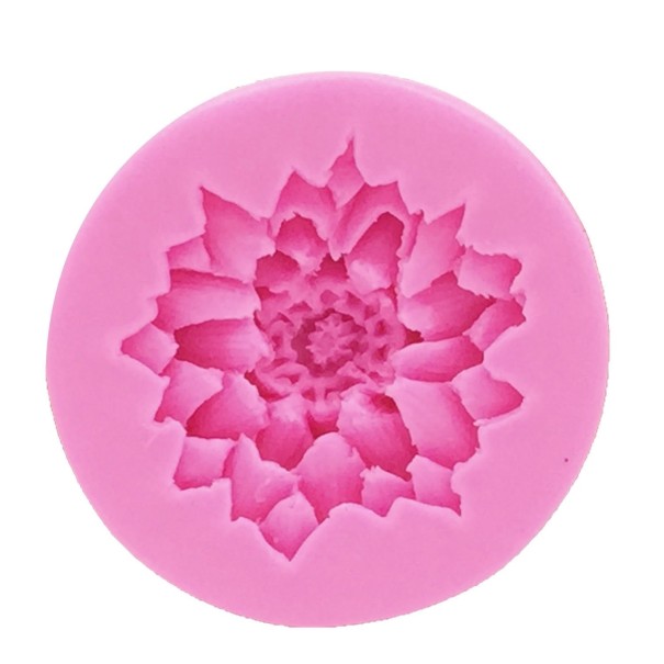 Krysantemum bagefad 1