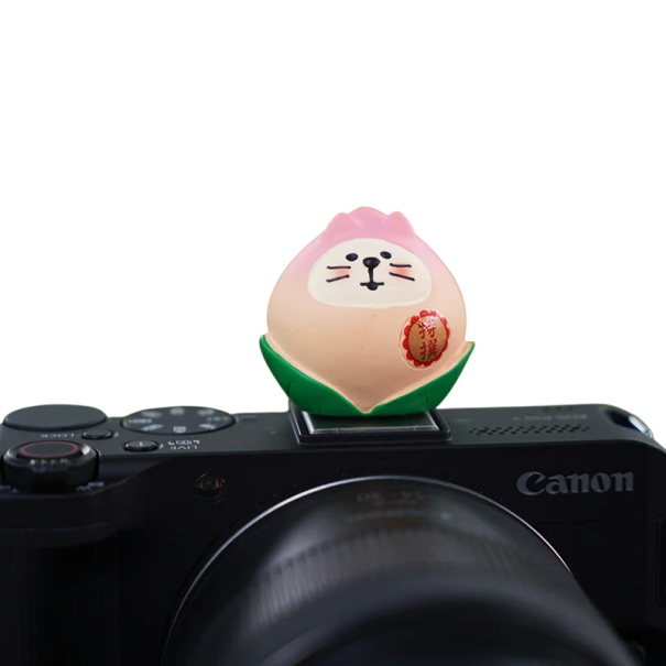 Krytka blesku pro fotoaparát Sedící kočka v kytičce pro Sony Nikon Canon Fuji Fujifilm Pentax Leica Olympus univerzální ochrana blesku 1