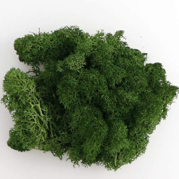 Kunstig Farverig Mos 200g Dekorativ Mos Græs Falske Grønne Planter Mini Landskab Gør-det-selv Håndværk Hjem Haveindretning Stue mørkegrøn