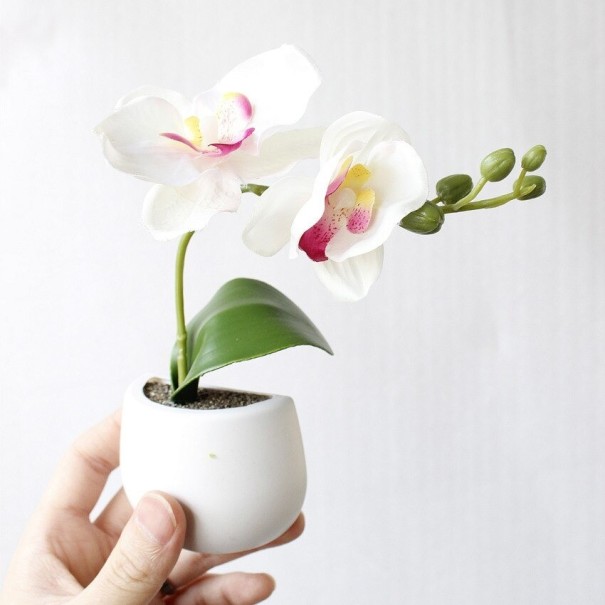 Kunstig plante i en magnetisk potte 2