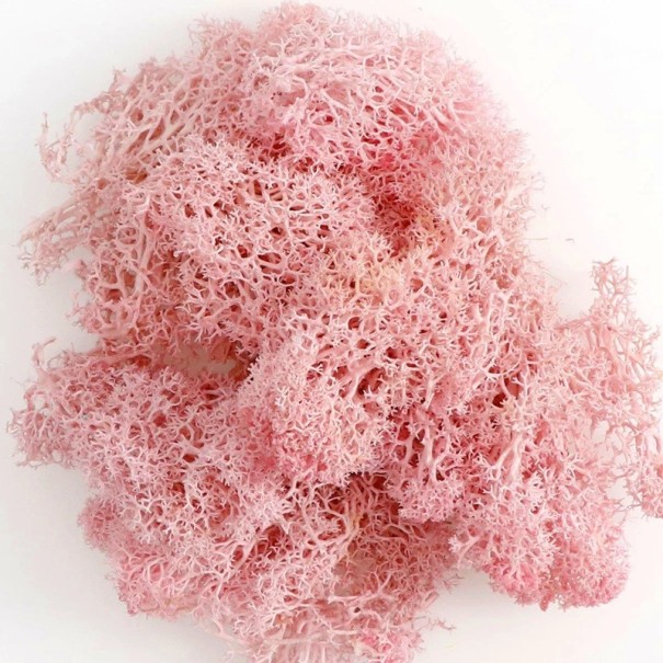 Künstliches buntes Moos, 200 g, dekoratives Moosgras, künstliche grüne Pflanzen, Mini-Landschaft, DIY-Handwerk, Heim- und Gartendekor, Wohnzimmer rosa