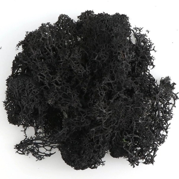 Künstliches buntes Moos, 200 g, dekoratives Moosgras, künstliche grüne Pflanzen, Mini-Landschaft, DIY-Handwerk, Heim- und Gartendekor, Wohnzimmer schwarz