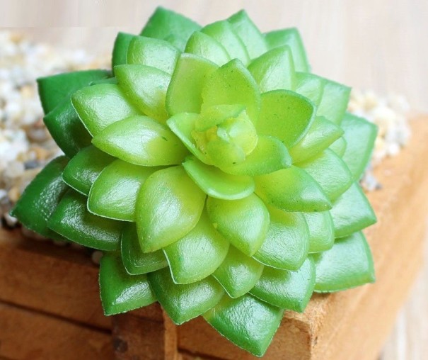 Kunstmatige vetplant C580 10