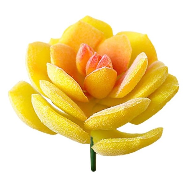 Kunstmatige vetplant C642 2