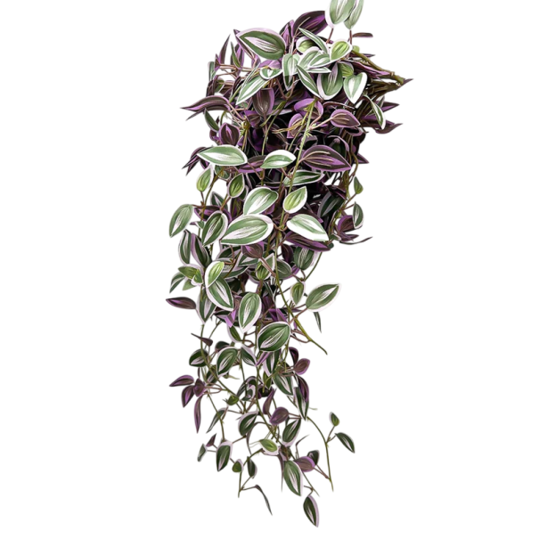 Kuvitteellinen riippuva tradeskansia 75 cm Liana-tyylinen koristekasvi realistisilla lehdillä Sisustuselementti ruukkuun violetti