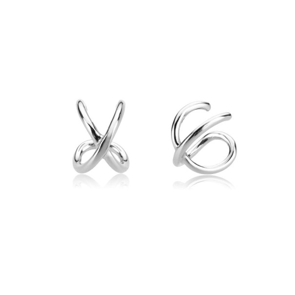Kvinnors örhängen silver 1