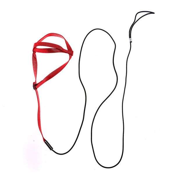 Laccio per uccelli con imbracatura Cintura di sicurezza in nylon Circonferenza toracica 35 cm Lunghezza del guinzaglio 160 cm Adatto per il volo rosso