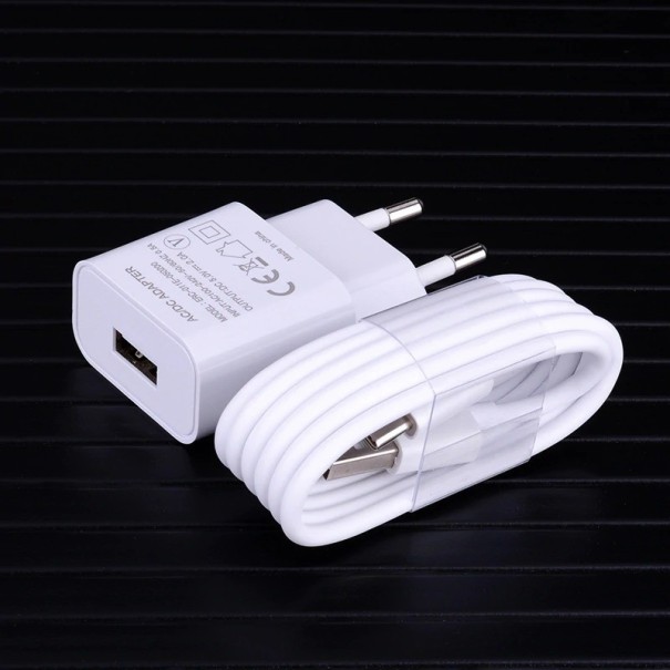 Laddare med Micro USB / USB-C kabel