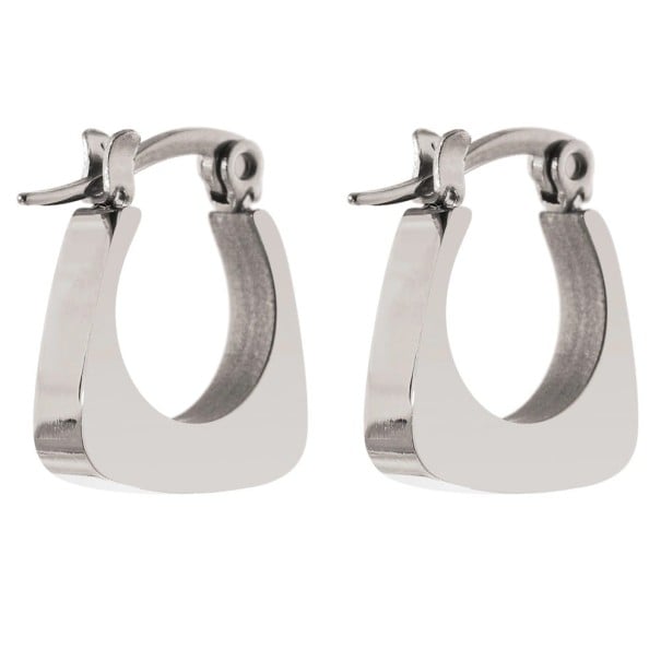 Ladies' Earrings G973 silver