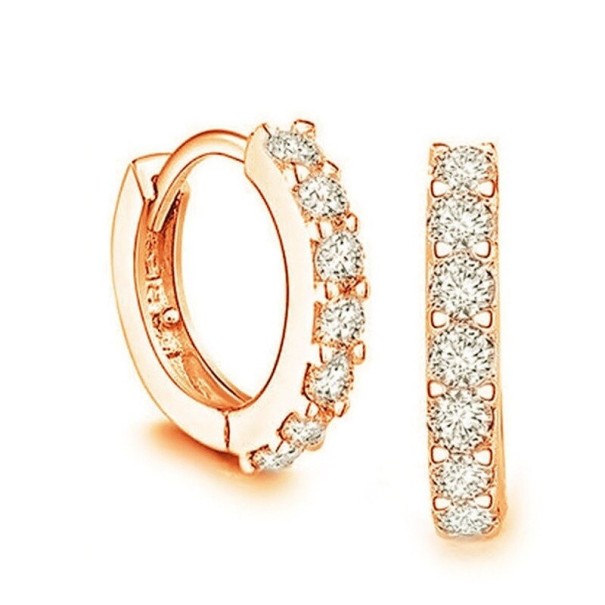Ladies' Hoop Earrings H810 gold