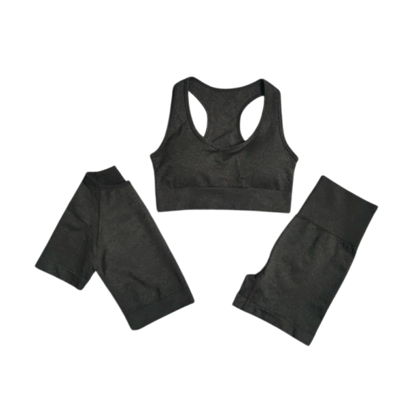 Ladies' Sports Set Shorts Sports Bra and Short-Sleeved T-Shirt Plain Fitness Set Made of Nylon black S