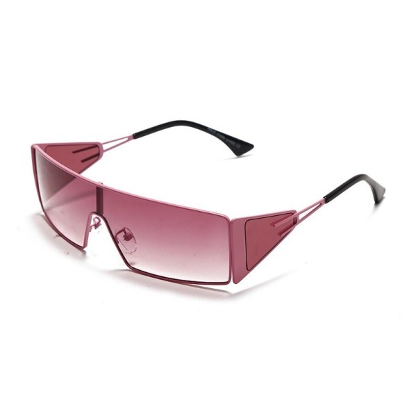 Ladies' Sunglasses E1495 3