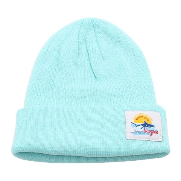 Ladies' Winter Beanie A2583 turquoise