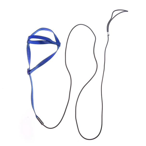 Lana de antrenament pentru păsări cu ham Curea de siguranță din nailon Circumferința pieptului 35 cm Lungimea leshului 160 cm Potrivit pentru zbor albastru