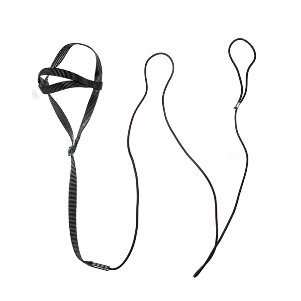 Lanière d'entraînement pour oiseaux avec harnais Sangle de sécurité en nylon Circonférence de poitrine 35 cm Longueur de la laisse 160 cm Convient pour le vol noir