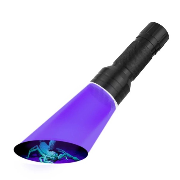 Lanterna ultravioleta 395 nm 21 LED Lâmpada UV potente Detecção de notas manchas minerais Análise forense Verificação de documentos 1