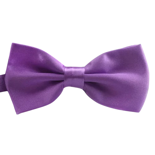 Lasten rusetti Elegantti asuste Säädettävä koko Muodikas muotoilu Ihanteellinen häihin, juhliin ja koulutapahtumiin Laadukas materiaali Mukava kiinnitys violetti