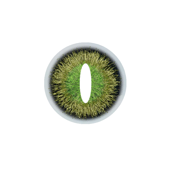 Lentilles de contact colorées P3951 vert