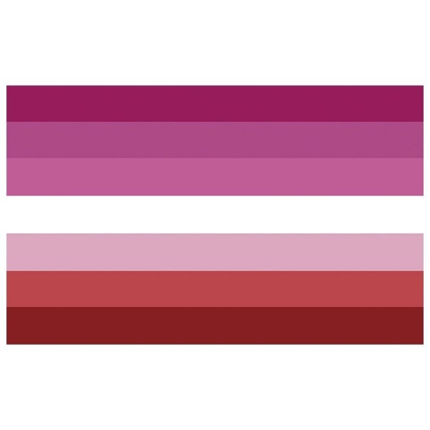 Lesbisk Pride-flag 90 x 150 cm 1